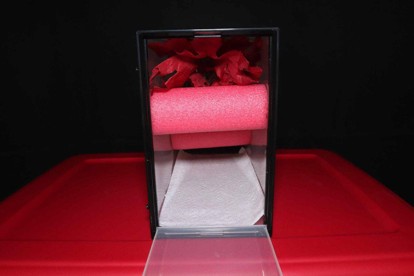 Basic Gecko Enclosure
