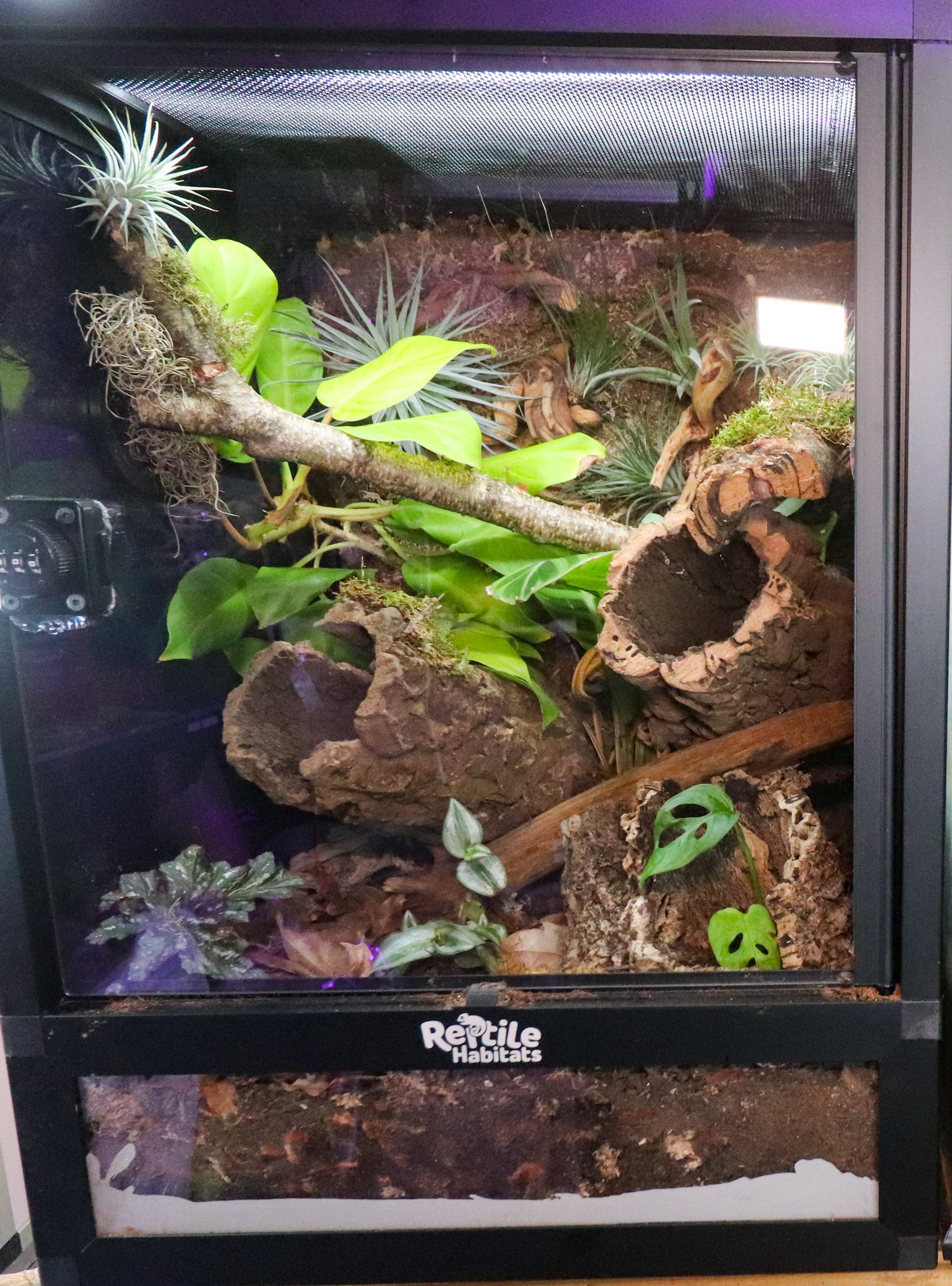 Plants For 20 Gallon Tall [18x18x24]